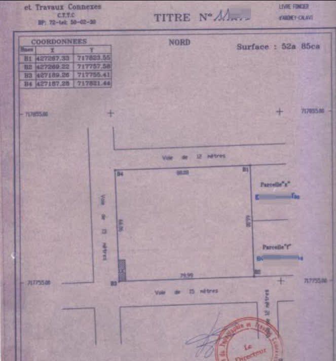 10 PARCELLES CLÔTURÉES EN ANGLE DE RUE LOTIES ET RECASÉES À VENDRE, ZOPAH - AKASSATO - CALAVI